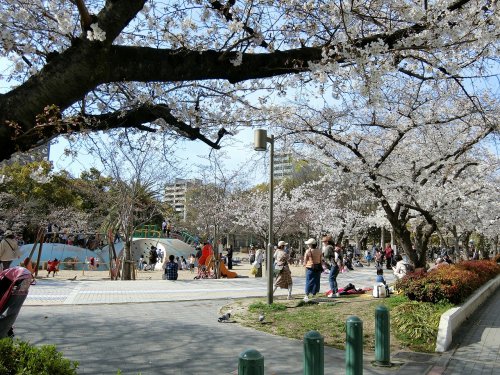 その他　江坂公園（その他）まで722m
