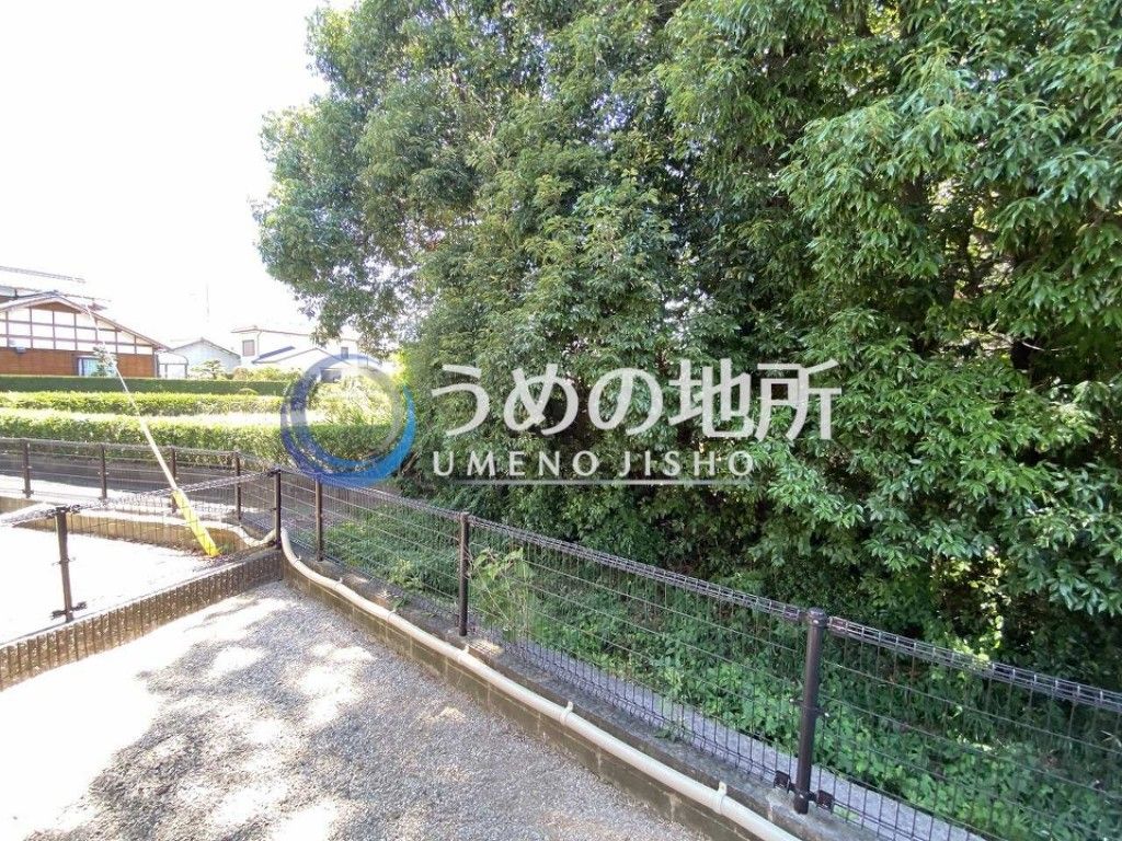 眺望　眺望