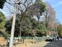 その他　喜多院公園（その他）まで718m