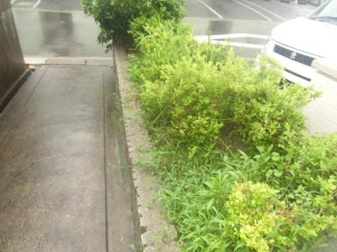 庭　庭