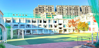 小学校　新宿区立柏木小学校（小学校）まで1240m