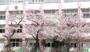 小学校　石神井東小学校（小学校）まで719m