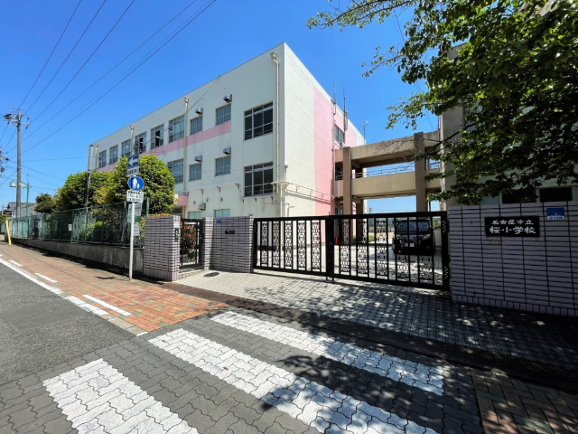 小学校　名古屋市立桜小学校（小学校）まで537m