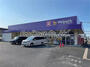 ドラックストア　Welpark(ウェルパーク) 西東京新町店（ドラッグストア）まで1066m