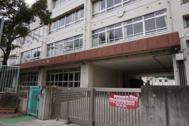 小学校　川崎市立野川小学校（小学校）まで483m