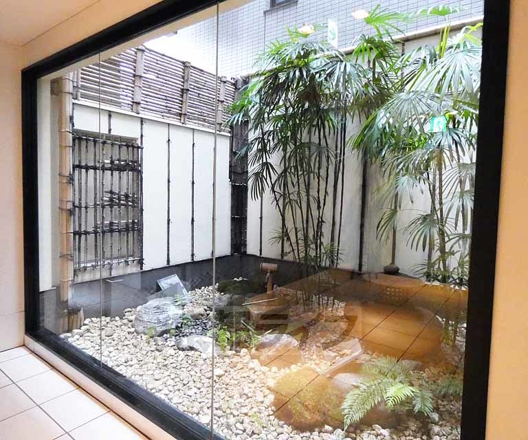 庭