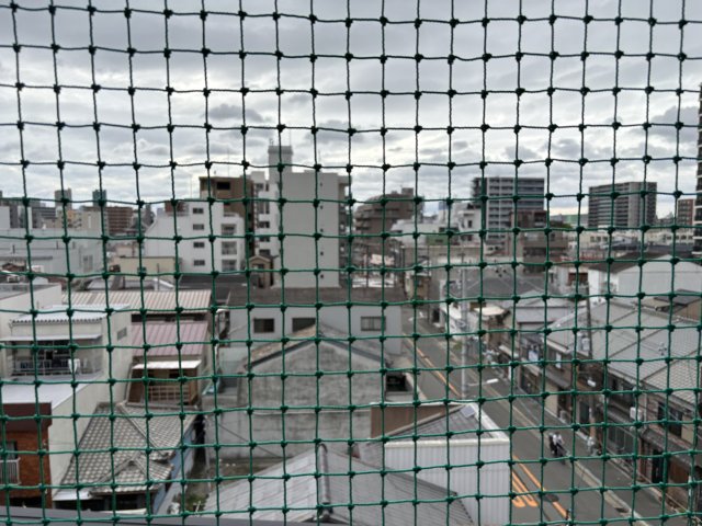 庭