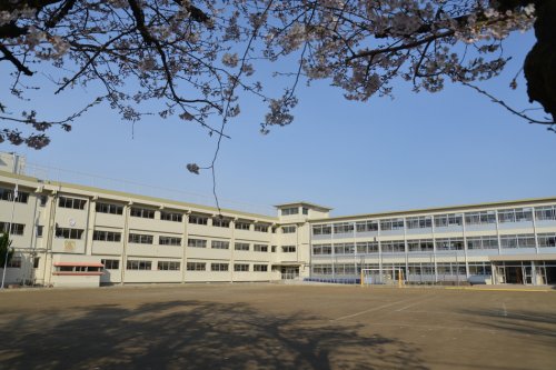 小学校　若葉小学校（小学校）まで1146m