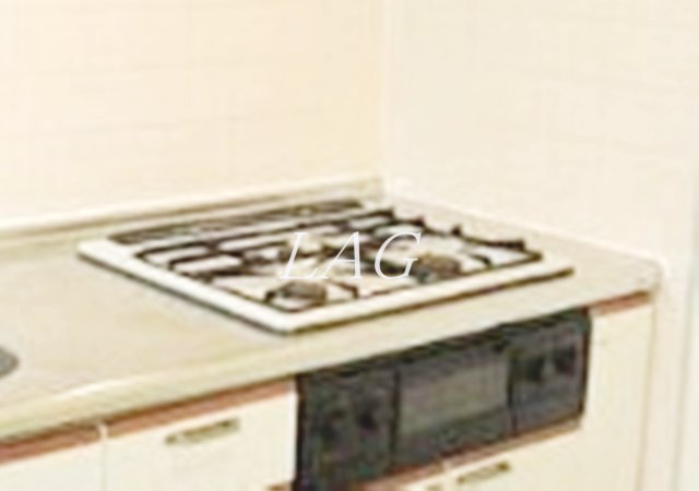 その他設備　三口コンロです。