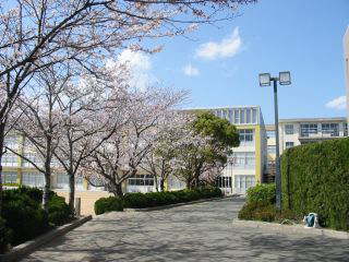小学校　伊保小学校（小学校）まで611m