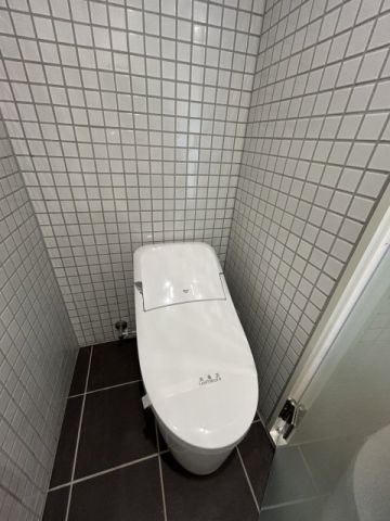 the trias sumiyoshiのトイレ写真