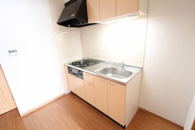 キッチン　単身のお部屋なのに３口コンロ！！！