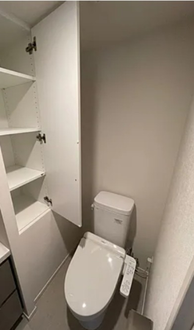 ＪＲ京浜東北線 赤羽駅 徒歩8分 13階建 築5年のトイレ写真