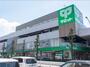 スーパー　サミットストア砧環八通り店（スーパー）まで1193m