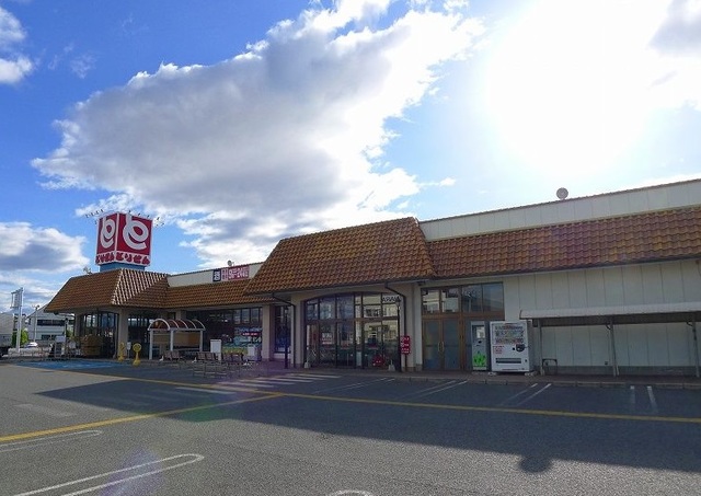 スーパー　とりせん東矢島店（スーパー）まで300m