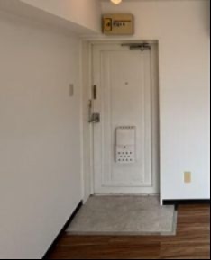 玄関　※別号室・類似タイプの室内写真です