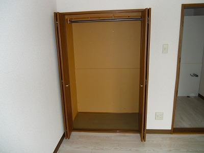 ビオラ5のその他写真