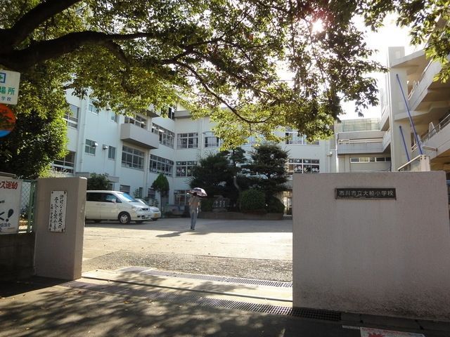 小学校　市川市立大柏小学校（小学校）まで1448m