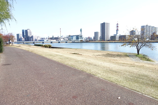 公園　信濃川やすらぎ堤緑地（公園）まで989m