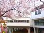 幼稚園・保育園　認定こども園菅原天満幼稚園（幼稚園・保育園）まで1042m