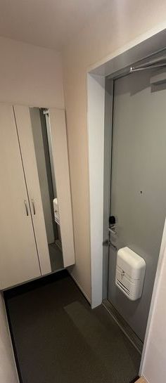 玄関　同仕様