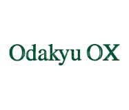スーパー　OdakyuOX伊勢原店（スーパー）まで1588m