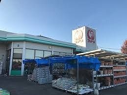 ホームセンター　コメリ美里店（ホームセンター）まで1000m