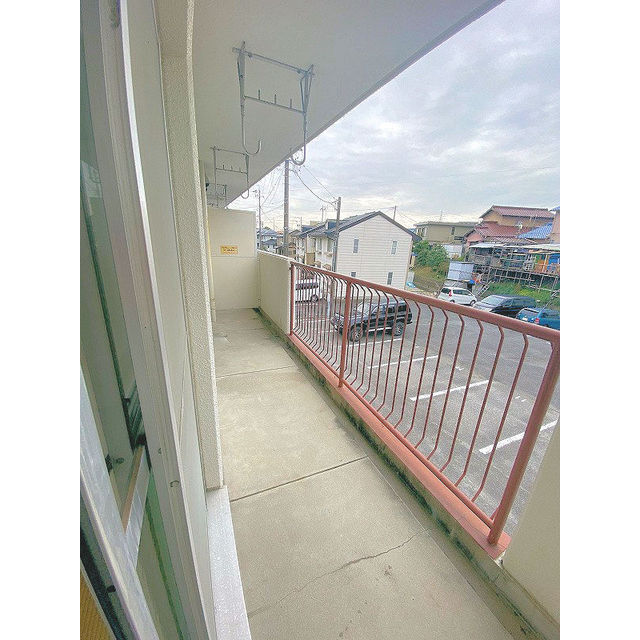 エターナルドエル錦_その他_2