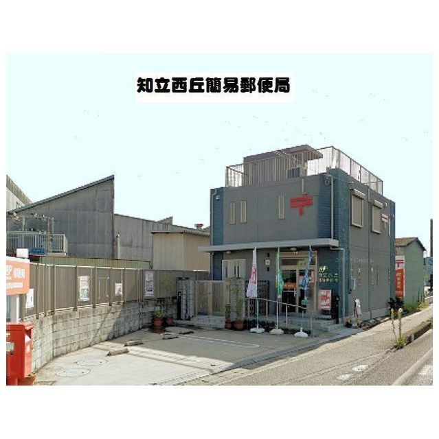 エターナルドエル錦_その他_8