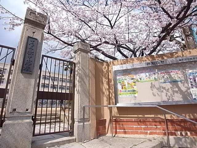 小学校　雲中小学校（小学校）まで202m