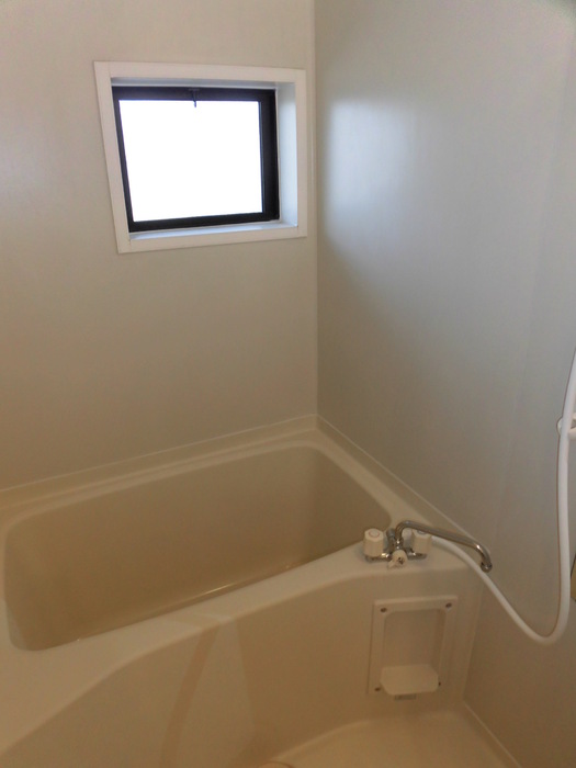 バス・シャワールーム　Ａ102 浴室