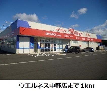 ドラックストア　ウエルネス中野店（ドラッグストア）まで1000m