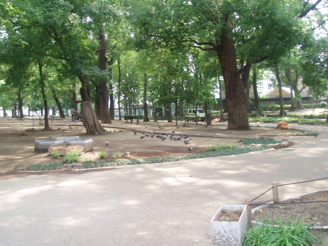 公園　十三公園（公園）まで700m