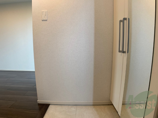 玄関　玄関の様子です。広い洋室にすぐ繋がっています。