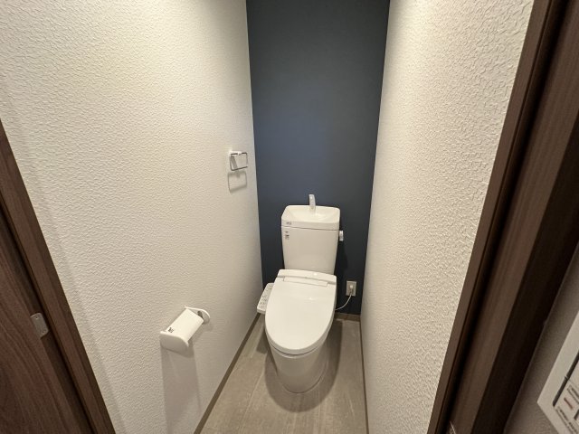 トイレ　同マンション、同型・別号室を撮影