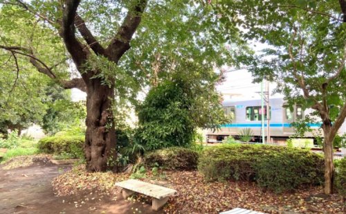 公園　林間公園（公園）まで4306m