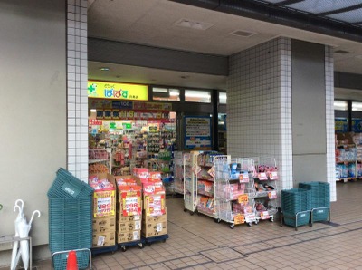 ドラックストア　どらっぐぱぱす月島店（ドラッグストア）まで521m