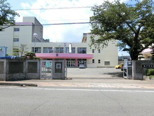 中学校　坂戸市立桜中学校（中学校）まで1669m