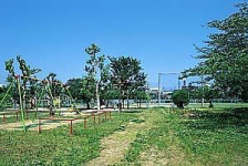 公園　大門公園（公園）まで250m