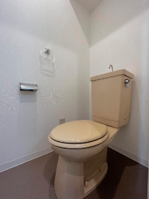 トイレ　落ち着いた色調のトイレです