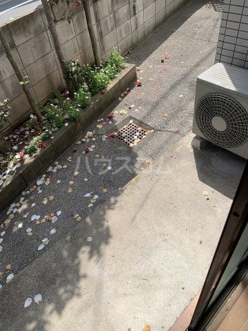庭