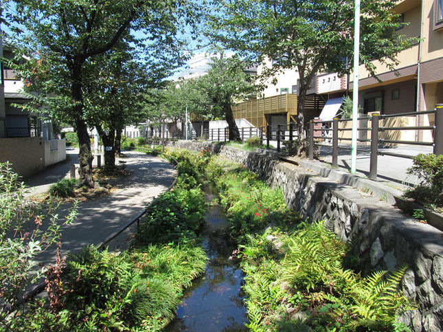 公園　北沢川緑道（公園）まで755m