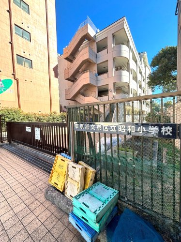 小学校　文京区立昭和小学校（小学校）まで144m