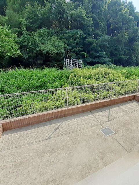 庭