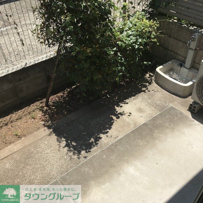 庭
