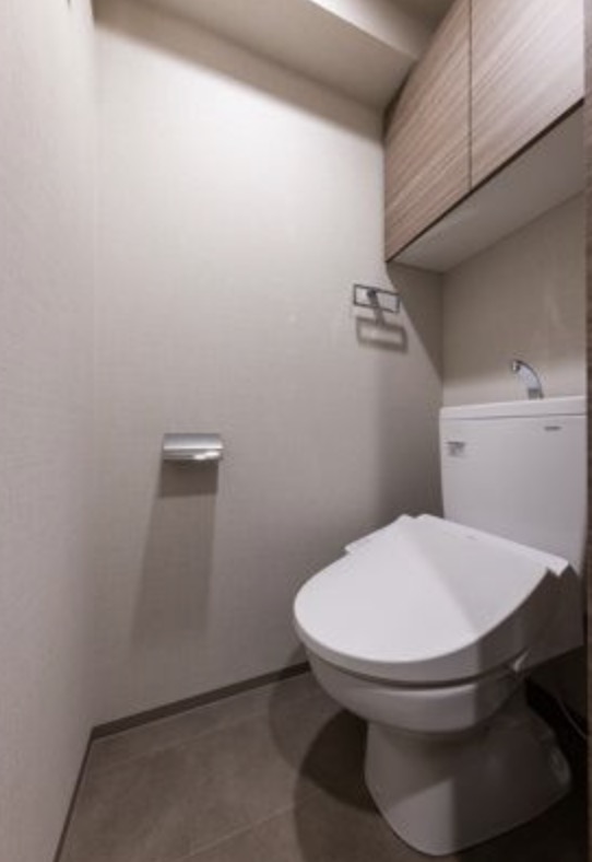DIPS東十条駅前レジデンスのトイレ写真