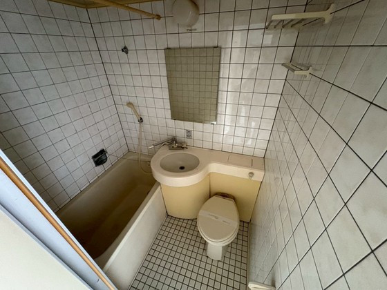 バス・シャワールーム　※別部屋の写真です