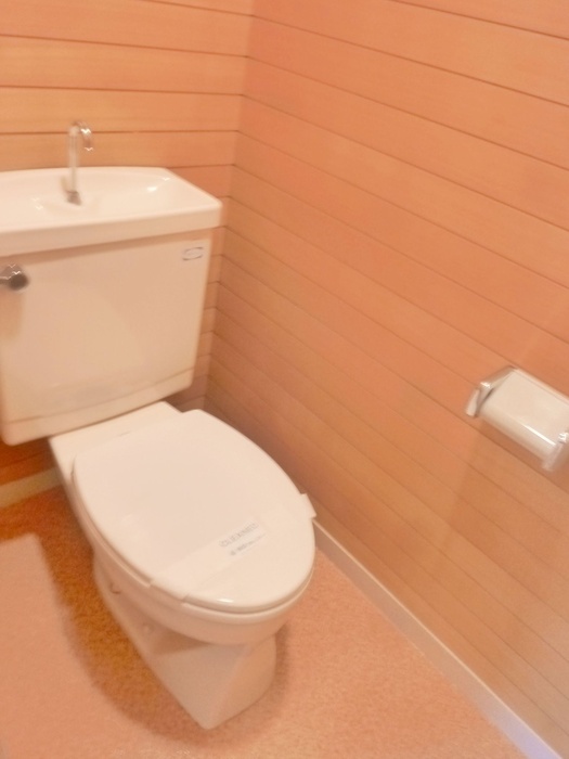 ウィステリア二子玉川のトイレ写真