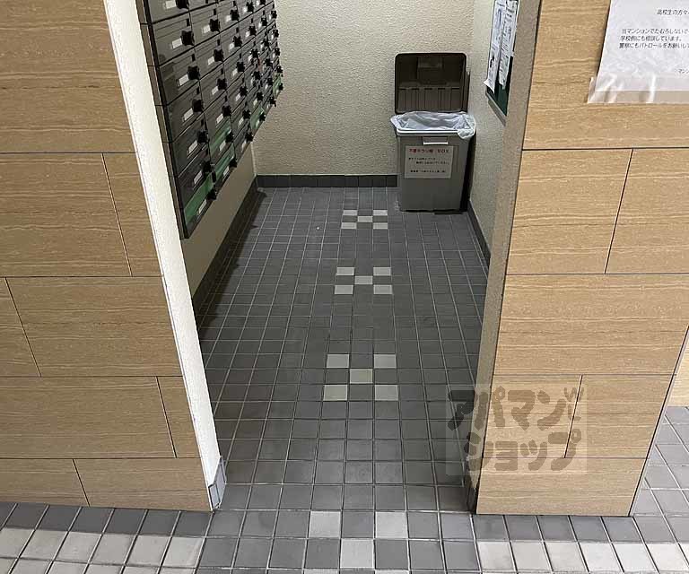 第1ファラオのその他写真