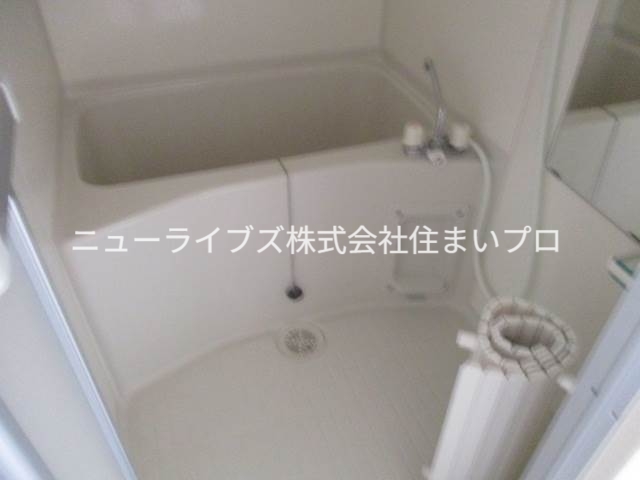 サン上島の風呂写真